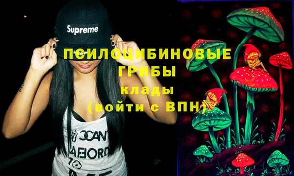 гашик Аркадак