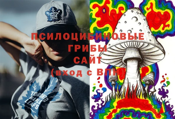 мдпв Армянск