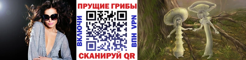 Галлюциногенные грибы MAGIC MUSHROOMS  купить наркоту  Саки 