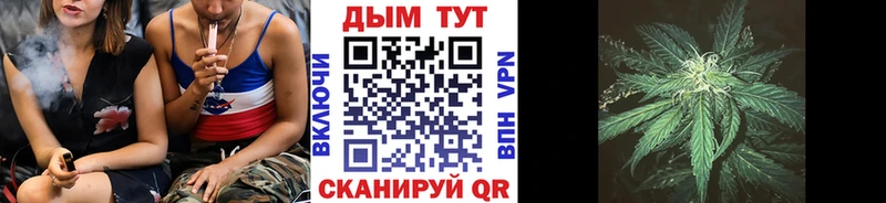 Конопля индика  Саки 